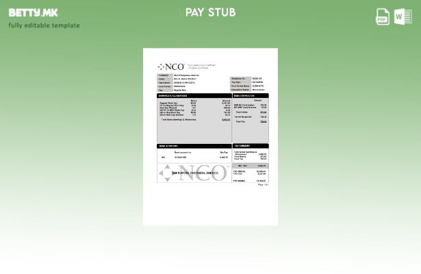 Модерен стил подофицер PayStub шаблон